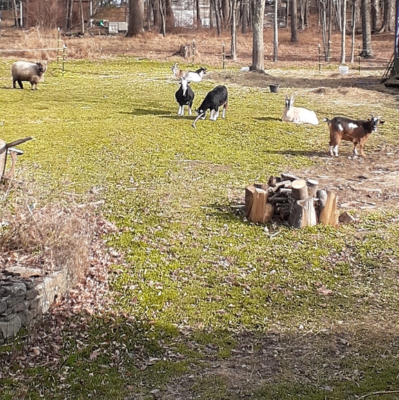 Not for sale - Picture 2 of 2